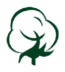 Client organization